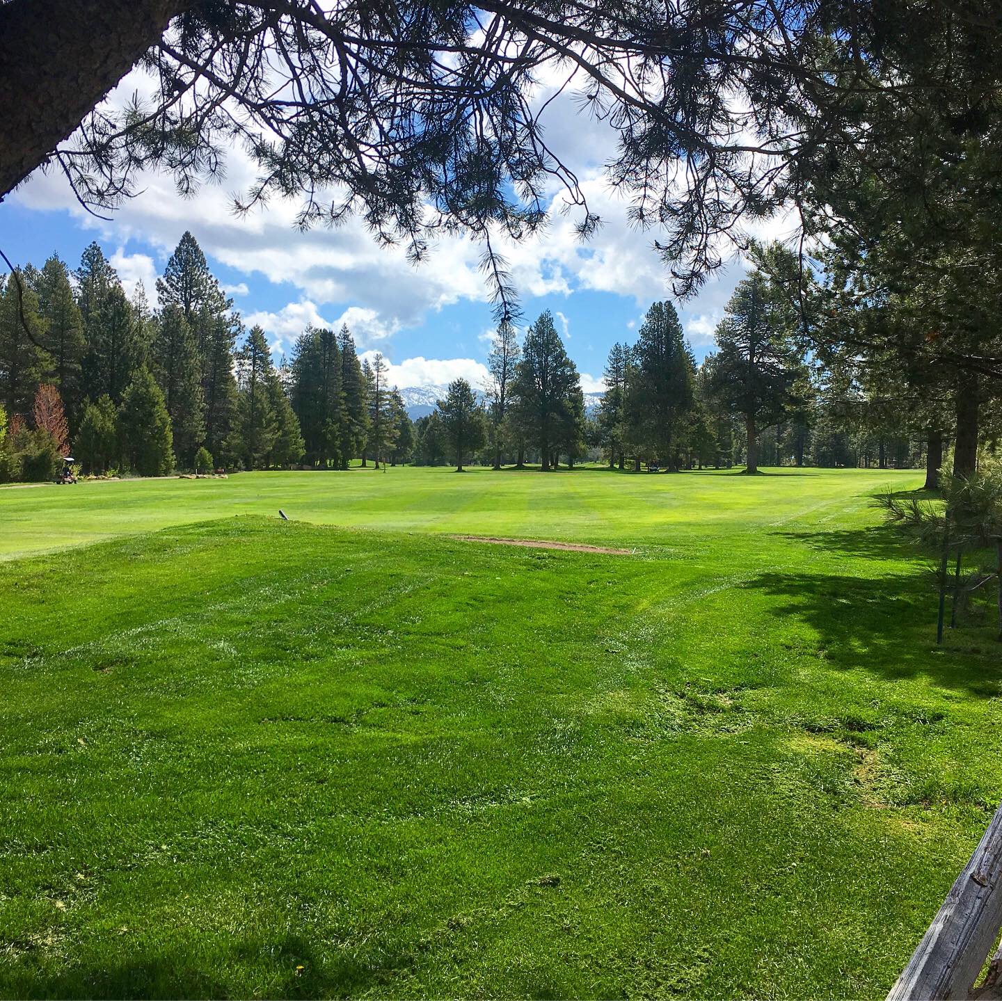 Homepage Ponderosa Golf Course